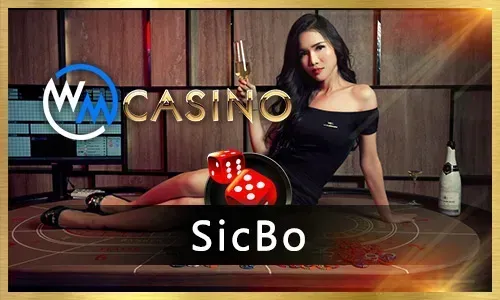 Wide selection of casino games